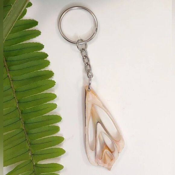 Seashell Keyring Slice Conch Seashell Clearwater Beach, Florida - Picture 7 of 13